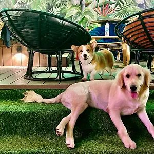Hostel Rom Casa, Da Nang